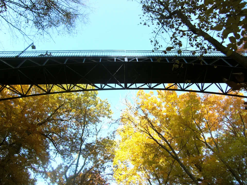 Little Mac Bridge above the wooded ravine on Grand Valley’s Allendale campus in autumn
